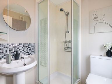 A bathroom with a shower enclosure sink with soap dispenser and a toilet with flowers in a vase at Lowen Lodge in St Merryn near Padstow