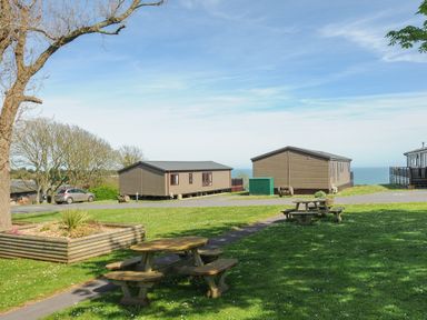 A grassy area with wooden picnic tables and two brown cabins near a coastal view at Lodge 66 at Riviera Bay Coastal Retreat in Brixham