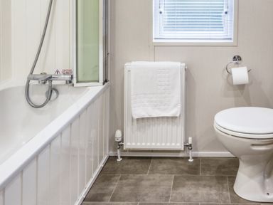 A bathroom with a bathtub and toilet at Lodge 66 at Riviera Bay Coastal Retreat Brixham