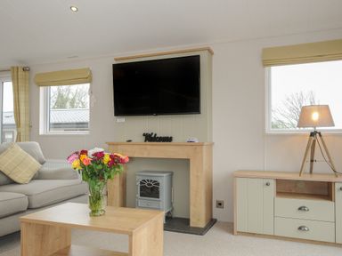 A living room with a sofa a coffee table with flowers a fireplace with a tv and a cabinet with a lamp at Lodge 74 at Riviera Bay Coastal Retreat in Brixham