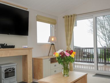 A living room with a television fireplace lamp flowers on a table and a sliding glass door at Lodge 74 at Riviera Bay Coastal Retreat in Brixham