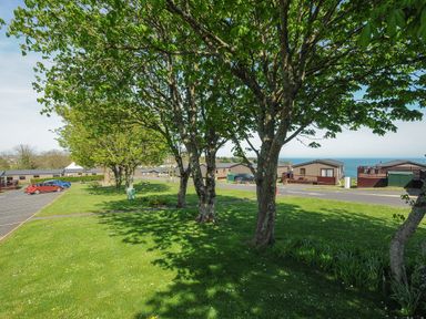 A grassy area with trees and parked cars near several cabins by the sea at Lodge 74 at Riviera Bay Coastal Retreat Brixham