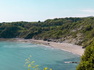 A beach with cliffs and trees at Lodge 55 at Riviera Bay Coastal Retreat Brixham
