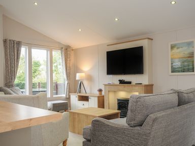A living room with two sofas a coffee table a television above a fireplace and a lamp near a window at Lodge 59 at Riviera Bay Coastal Retreat Brixham