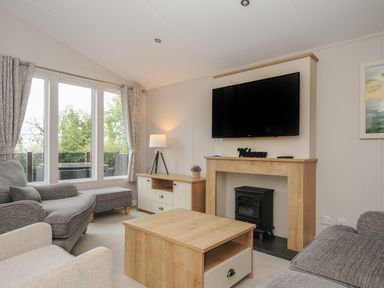 A living room with a sofa armchair coffee table fireplace and television at Lodge 59 at Riviera Bay Coastal Retreat in Brixham