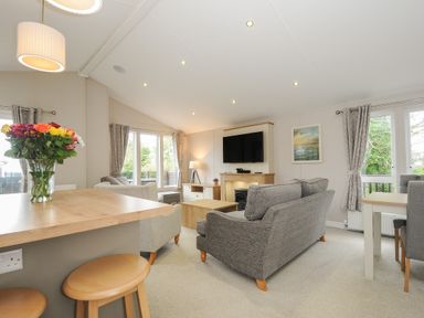A living room with a grey sofa and armchairs a wooden coffee table a wall-mounted TV and flowers on a counter at Lodge 59 at Riviera Bay Coastal Retreat Brixham