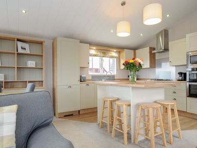 A kitchen with an island and stools flowers on the island and an open shelving unit in the background at Lodge 69 at Riviera Bay Coastal Retreat in Brixham