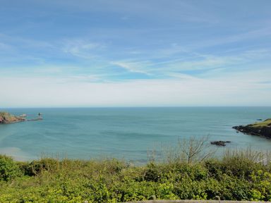 A coastal view with shrubs in the foreground and the sea meeting the sky at Lodge 68 at Riviera Bay Coastal Retreat in Brixham