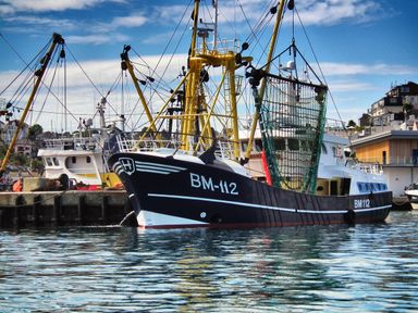 A fishing boat docked at a harbor at Lodge 68 at Riviera Bay Coastal Retreat Brixham