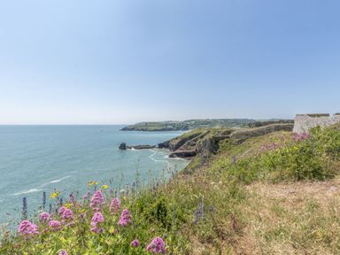 A coastal view with cliffs and flowers at Lodge 72 at Riviera Bay Coastal Retreat Brixham