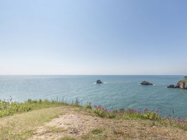A view of the ocean with rocks and flowers in the foreground at Chalet 31 at Landscove Holiday Park Brixham