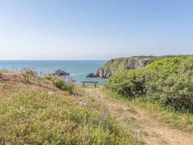 A view of the sea and cliffs from a grassy area with a bench at Chalet 15 at Landscove Holiday Park Brixham