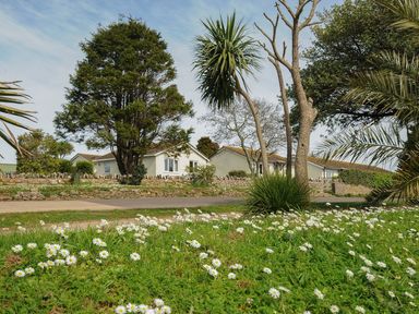 A garden with white flowers and trees in front of two small houses with stone walls and a road at Chalet 34 at Landscove Holiday Park in Brixham