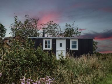 A small black corrugated metal cabin with a white door and two windows surrounded by tall grass and bushes at La'al Ling in Penrith