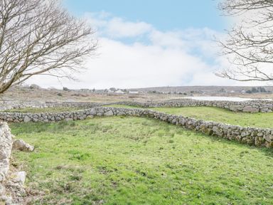 A grassy field with stone walls and leafless trees at Rossaveel Upper in Rossaveel County Galway