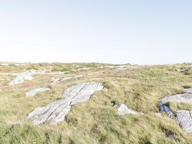 A grassy rocky landscape with scattered shrubs under a clear sky at Rossaveel Upper in Rossaveel County Galway