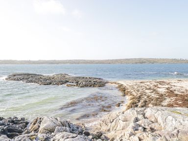 A rocky shoreline with seaweed and water at Rossaveel Upper in Rossaveel County Galway