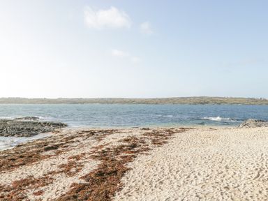 A sandy beach with seaweed and rocks by the ocean with a distant view of land at Rossaveel Upper in Rossaveel County Galway