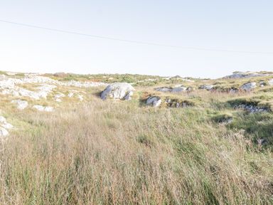 A grassy rocky landscape with stones and shrubs under a clear sky at Rossaveel Upper in Rossaveel County Galway
