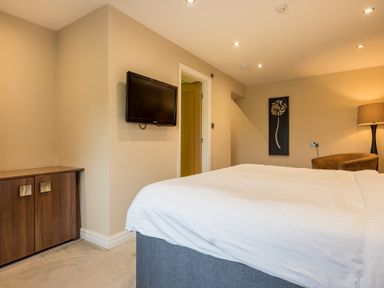 A bedroom with a bed a wall-mounted television a wooden cabinet an armchair a floor lamp and a framed flower artwork at Ullswater View Apartment in Ullswater