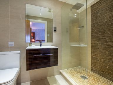 A bathroom with a toilet sink vanity mirror and walk-in shower at Ullswater View Apartment in Ullswater