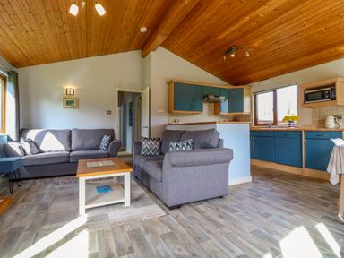 A living room with two gray sofas a coffee table and an open kitchen with blue cabinets at 3 The Glade in St Minver Rock