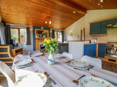 A dining area with a table set with plates and a vase of flowers next to a kitchen with blue cabinets and a living area with a fireplace at 3 The Glade in St Minver Rock