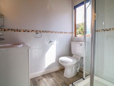 A bathroom with a toilet a shower a sink and a window at 3 The Glade in St Minver Rock