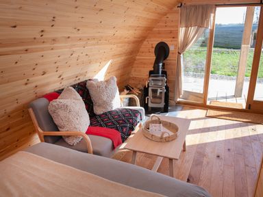 A wooden room with a grey sofa covered with a blanket and pillows a small wooden table a black stove and large sliding glass doors at Glamping Pod 2 Presence in Lebberston