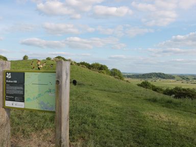 A grassy hill with a signpost and cows grazing at Walton Hill