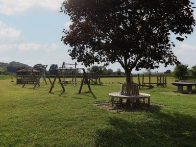 An outdoor park with swings and a tree at Metcalfe House in Compton Dundon