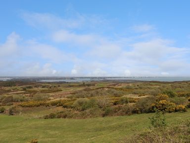 A landscape view of grassy fields and bushes with a body of water and distant land under a blue sky at Rempstone Farmhouse in Corfe Castle
