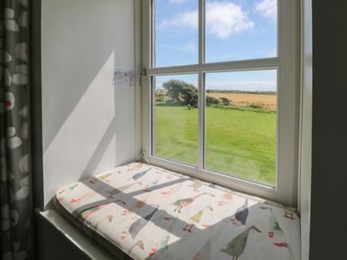 A window seat with a cushion that has a bird pattern overlooking a green lawn and fields at Grassholm View in Solva