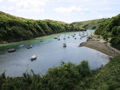 A river with boats anchored and hills on both sides at Grassholm View in Solva
