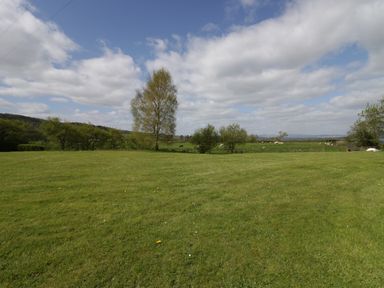 An open field with grass and scattered trees under a cloudy sky at 1 Gilpin House in Levens