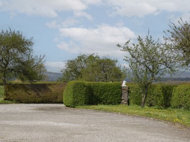A gravel driveway bordered by trimmed hedges and trees under a cloudy sky at 1 Gilpin House in Levens