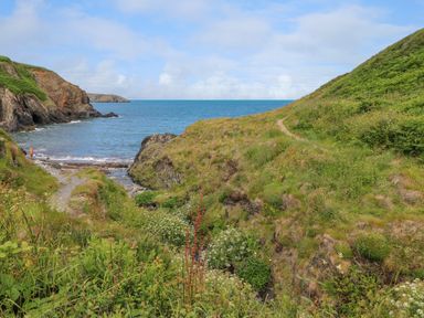 A coastal path with grassy hills and a rocky shoreline by the sea at Llain Gwynfor in St Davids