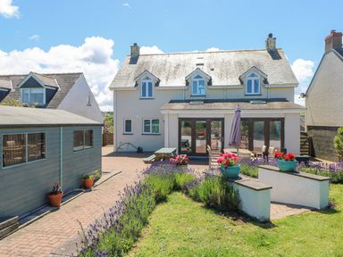 A backyard view of a house with a patio area with tables and chairs surrounded by lavender and flower pots at Llain Gwynfor in St Davids