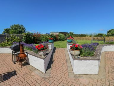 A garden with flower pots on low white walls a chimney barbecue and a bench at Llain Gwynfor in St Davids