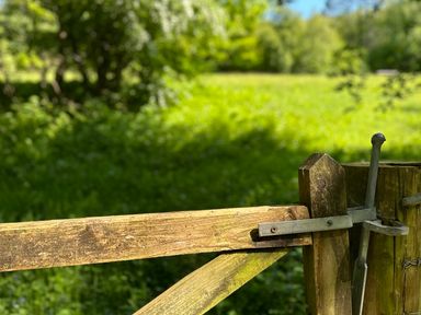 A wooden gate latch and post with green trees and grass in the background at Collen in Aberaeron