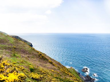 A coastal landscape with yellow flowers on grassy cliffs overlooking the ocean at Collen in Aberaeron