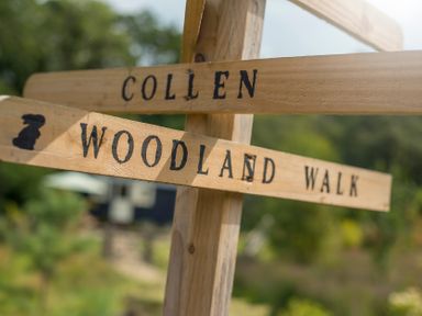 A directional sign displaying Collen and Woodland Walk at Collen in Aberaeron