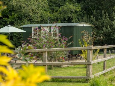 A shepherd's hut and garden with flowers at Collen in Aberaeron