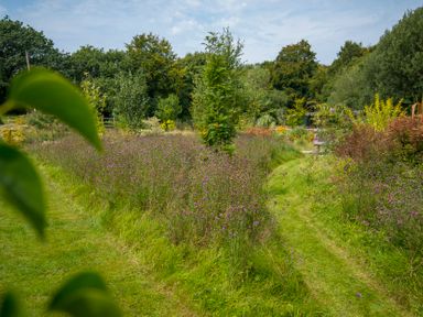 A garden with a pathway surrounded by flowers and trees at Collen in Aberaeron