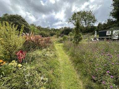 A garden pathway surrounded by flowers at Collen in Aberaeron