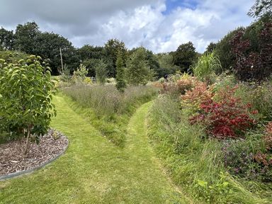 A garden with a path surrounded by flowering plants and trees at Collen in Aberaeron