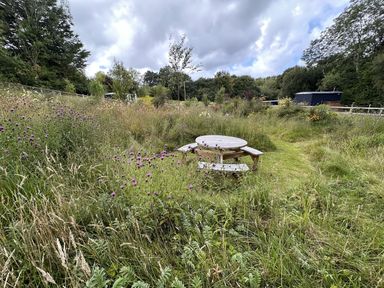 A garden with a wooden table and benches surrounded by wildflowers at Colleen in Aberaeron