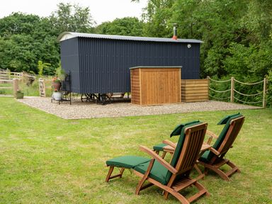 Two wooden lounge chairs with green cushions on a grass lawn near a small shed and a black corrugated metal hut at Bedwen in Aberaeron