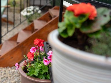 Flower pots with red and pink flowers near wooden stairs outside