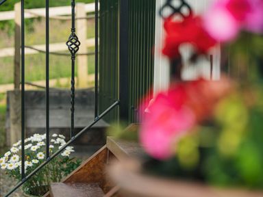 A close-up of wooden steps with a black metal railing and white flowers in the background at Bedwen in Aberaeron